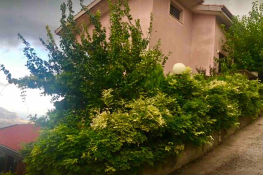 Il Panorama Apartman Altofonte Kültér fotó
